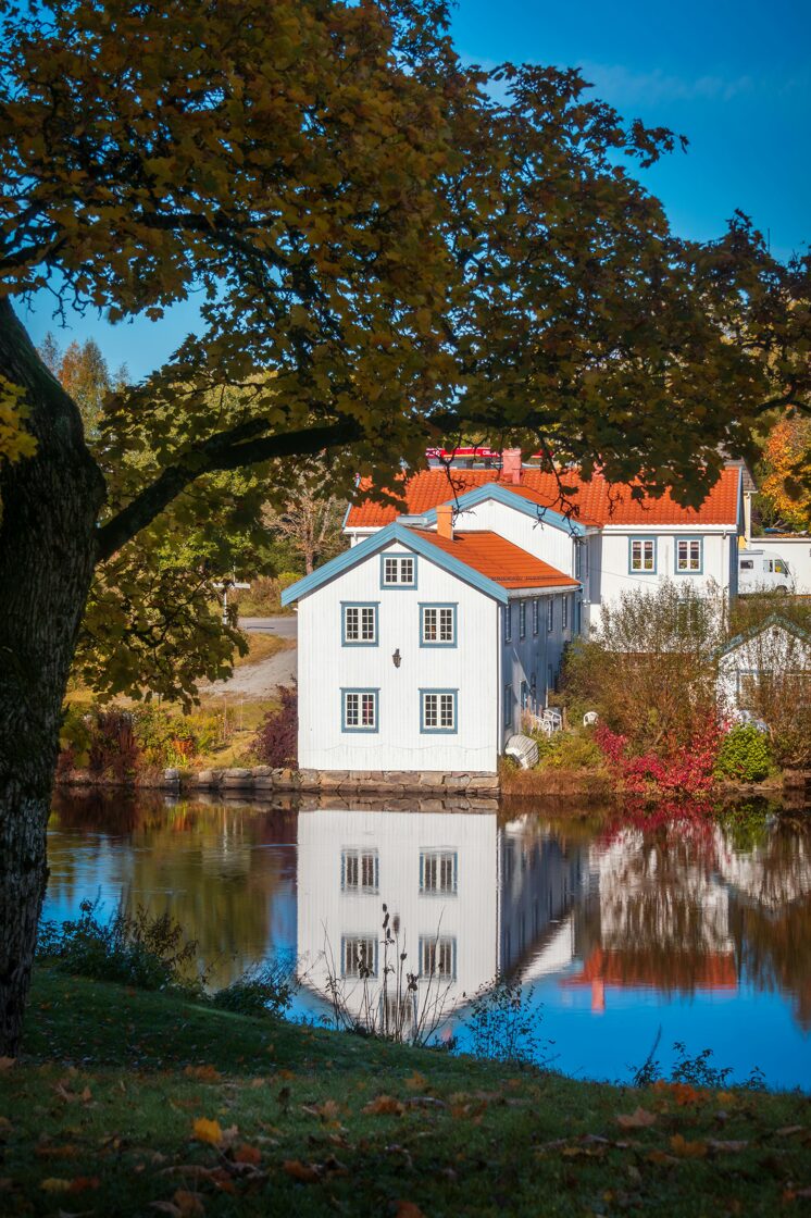 Pārmaiņu vadība Ineses mentorings Rudens